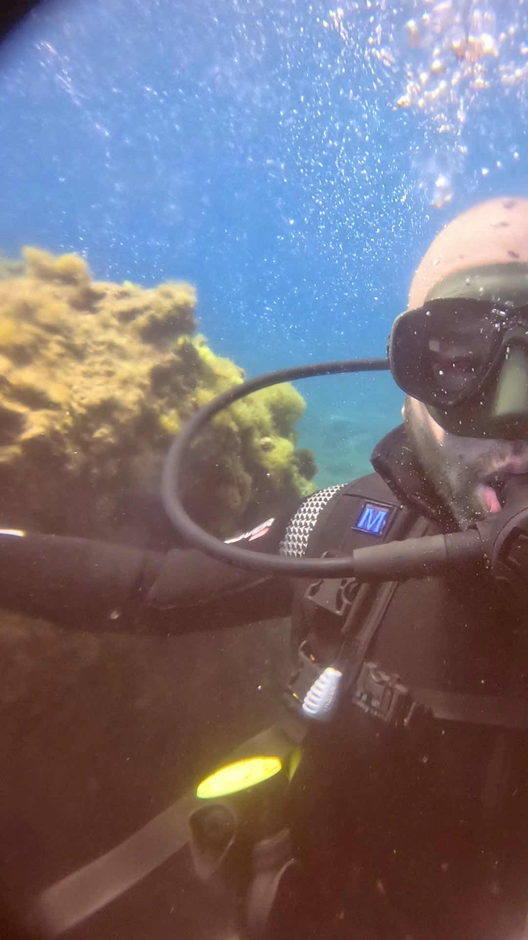 Dive Around Madeira photo 2