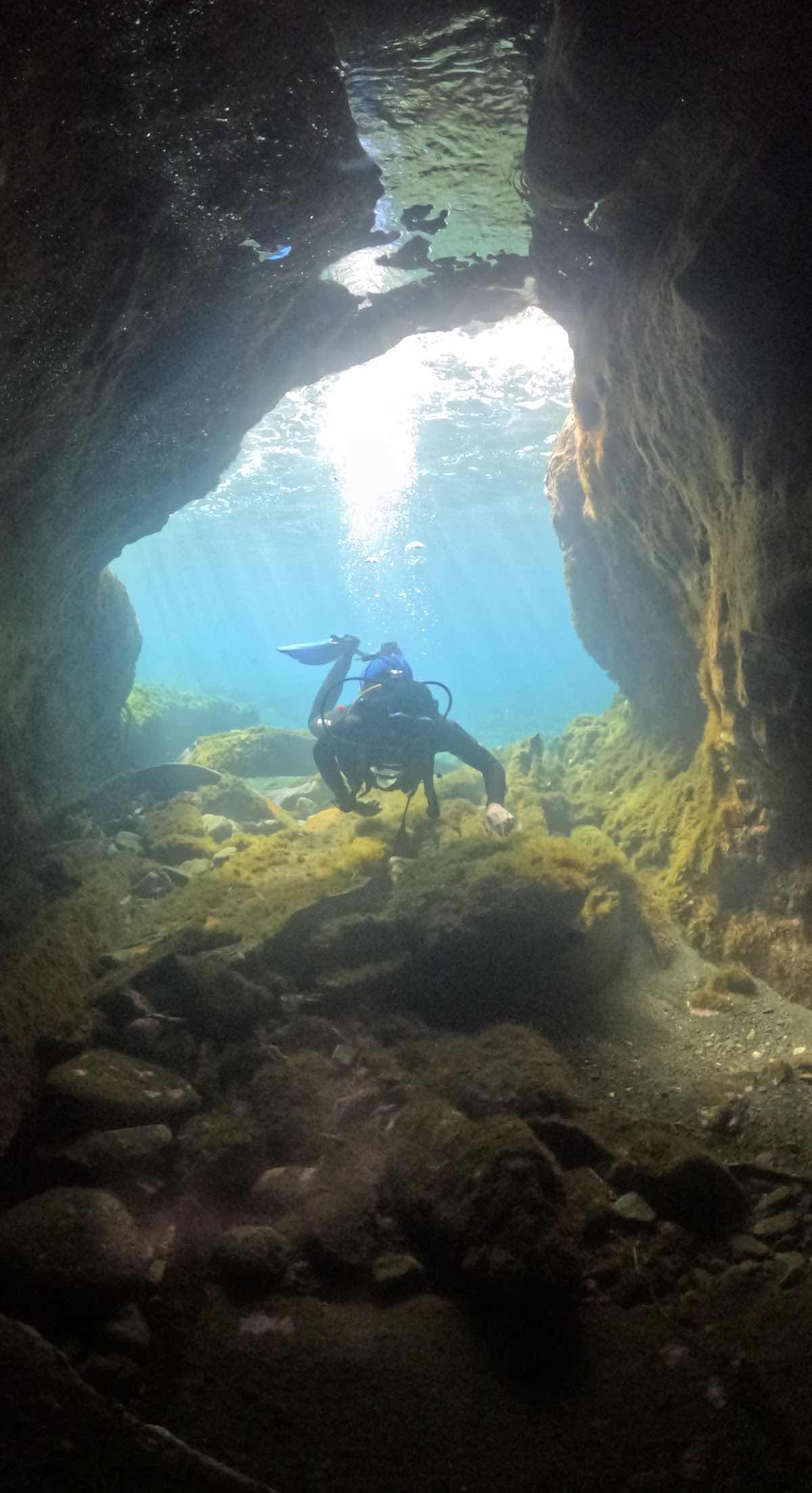 Dive Around Madeira photo 4