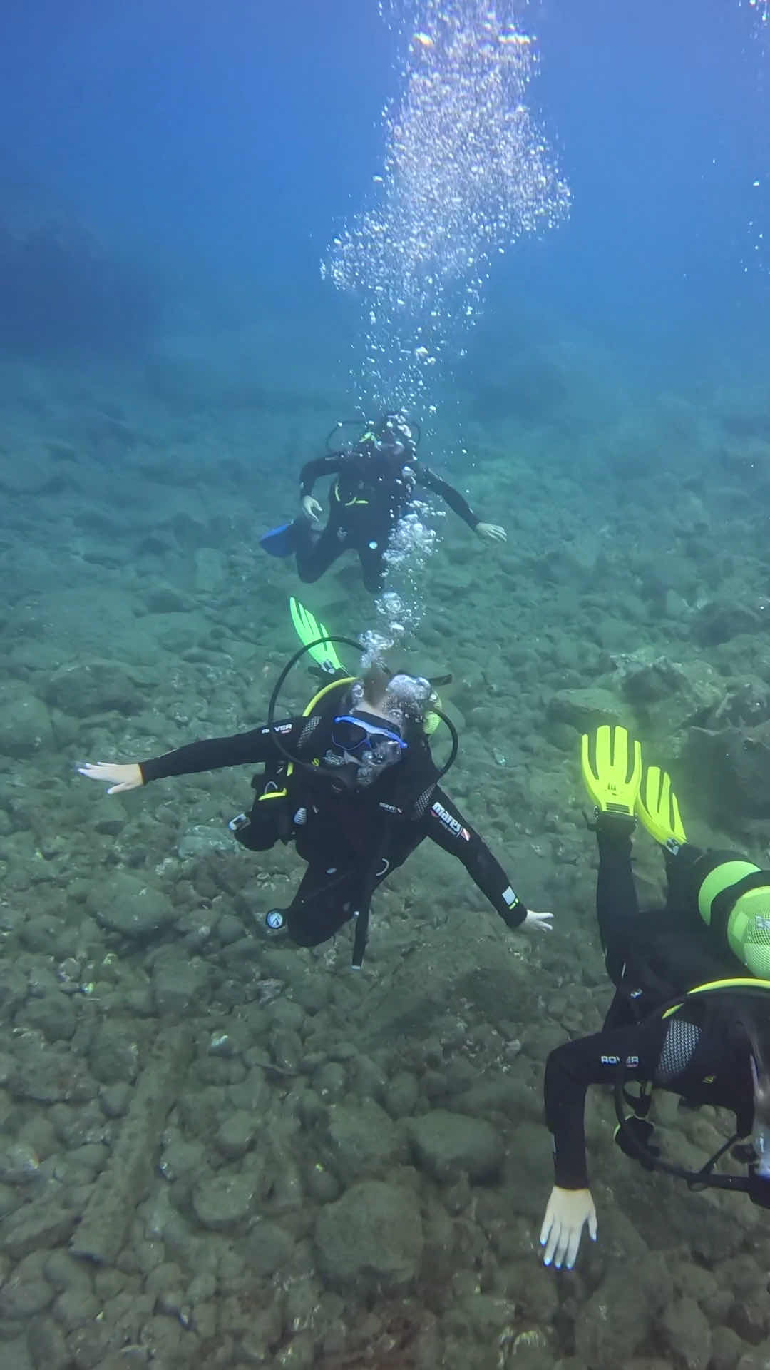 Dive Around Madeira photo 6