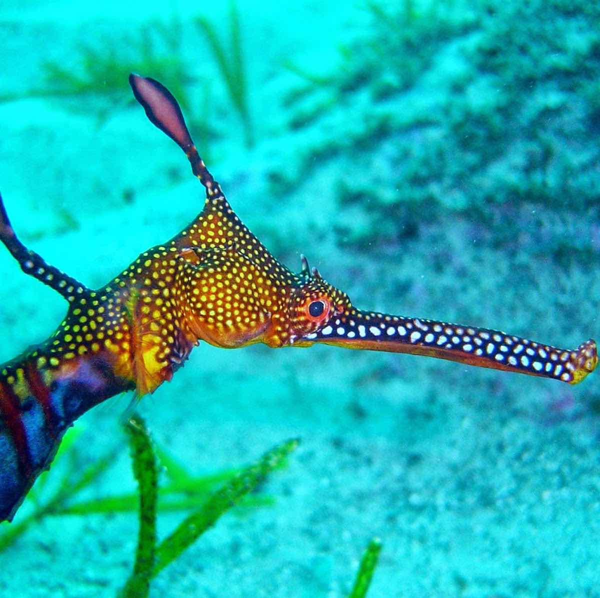 Dive Centre Manly photo 4