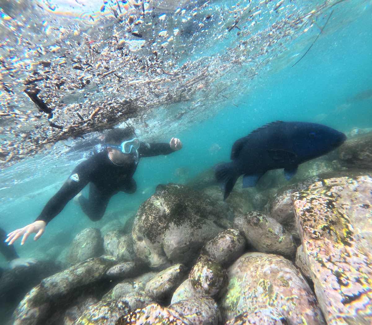 Dive Centre Manly photo 9