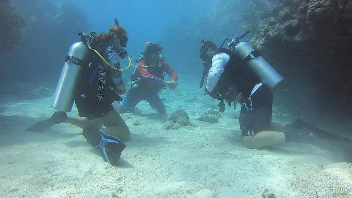 DiveMaster Key West photo 3
