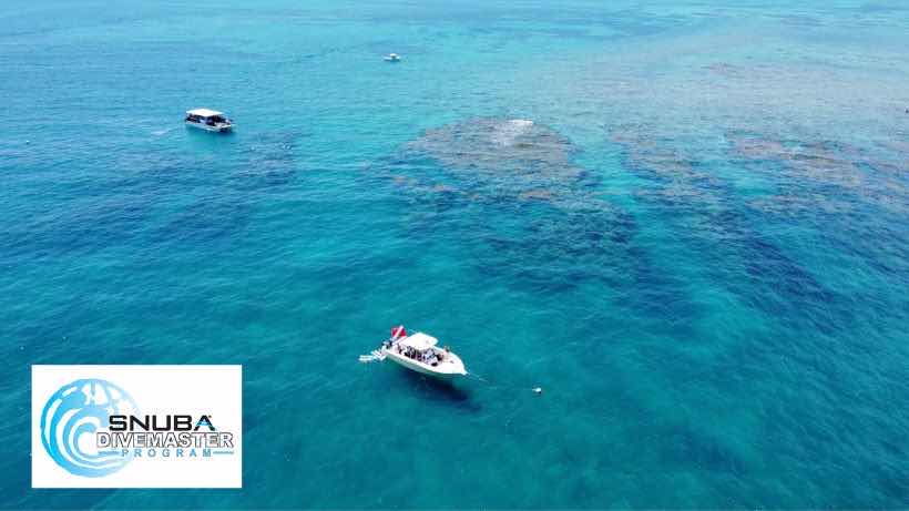 DiveMaster Key West photo 4