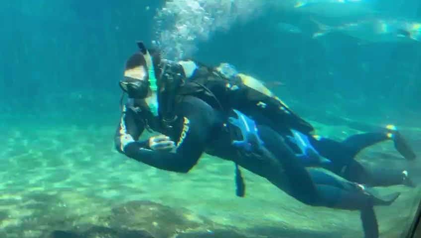 Umhlanga Scuba photo 3