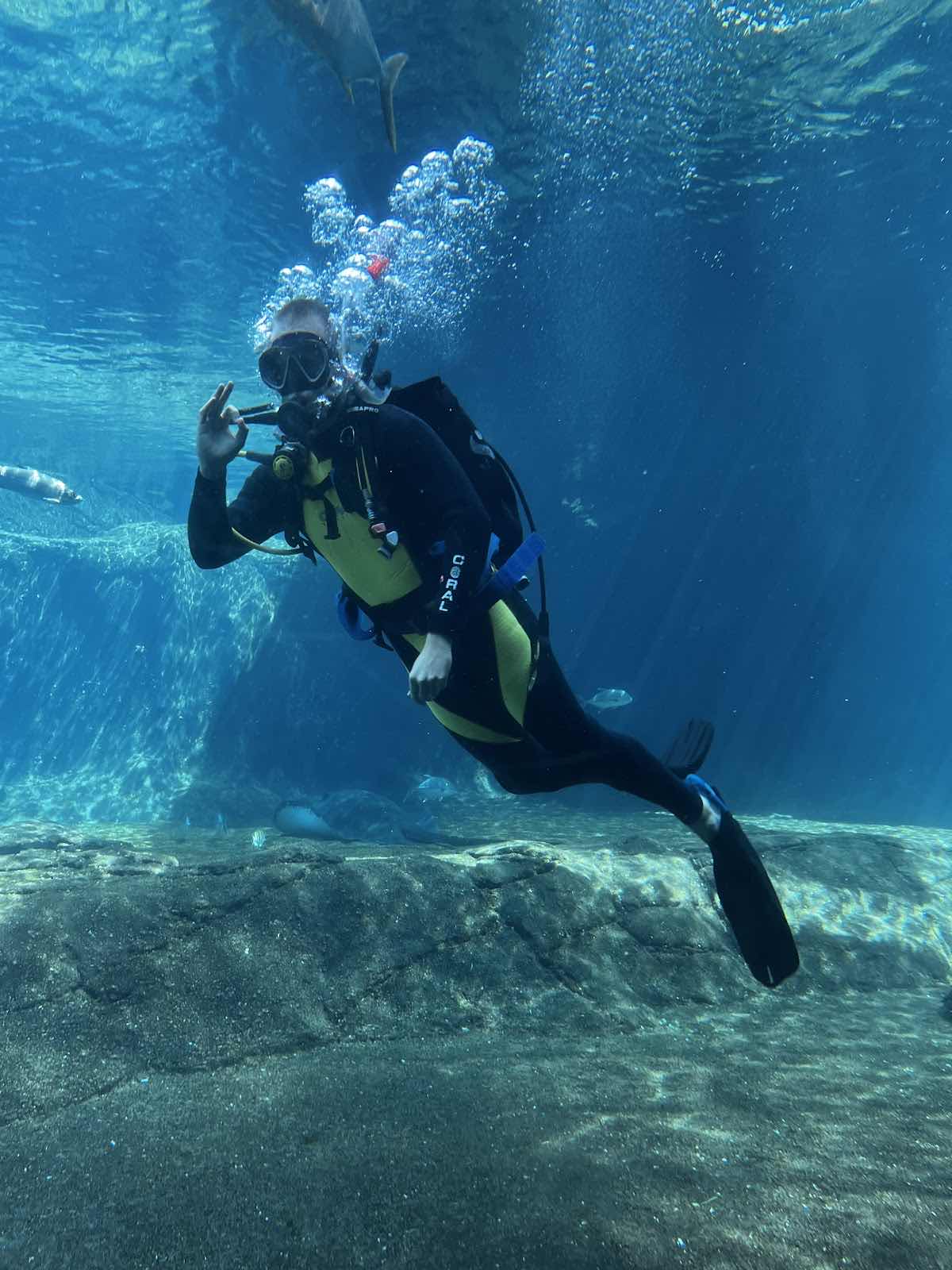 Umhlanga Scuba photo 4