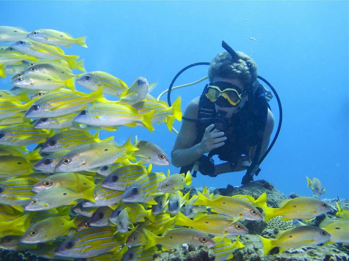 Amoray Diving photo 4