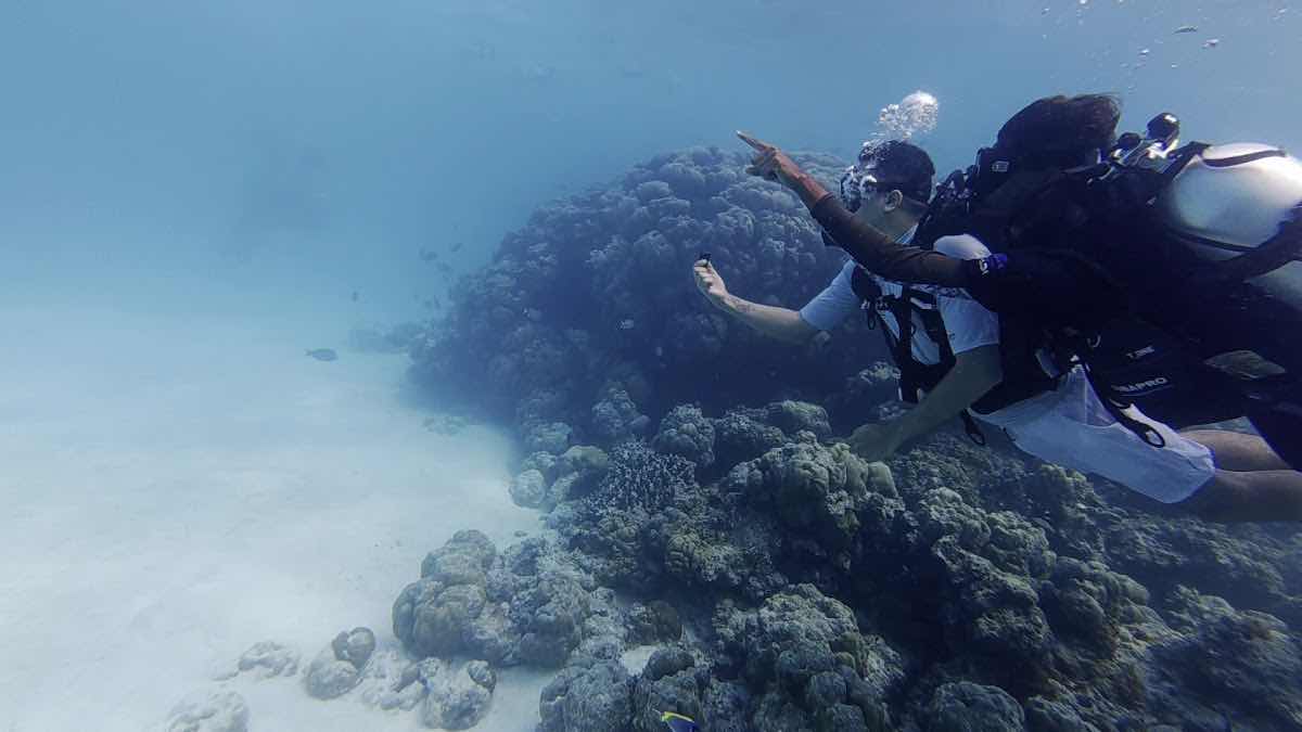 Lak Sea Adventures Lakshadweep PADI Dive Resort photo 3