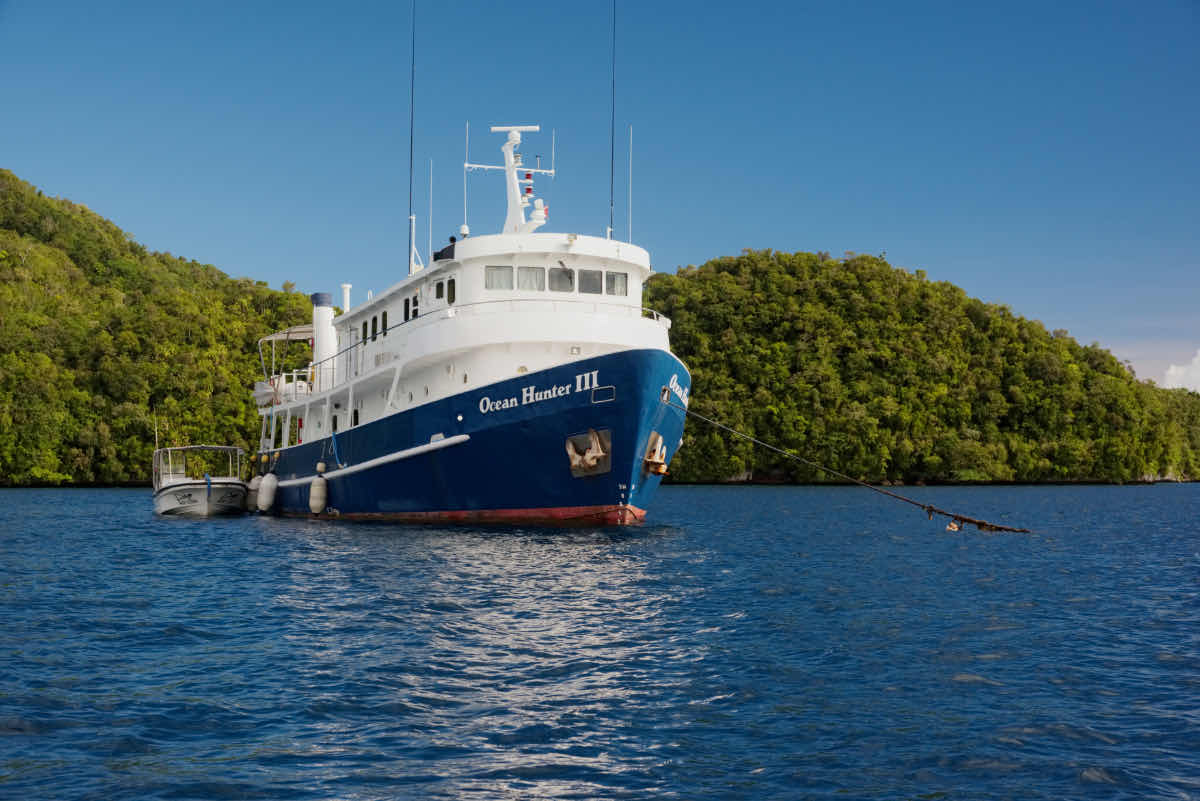 Ocean Hunter Palau photo 1