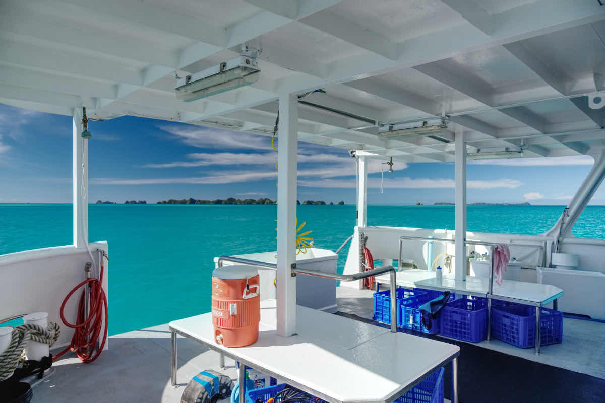 Ocean Hunter Palau photo 3