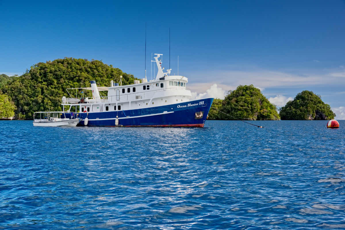 Ocean Hunter Palau photo 10