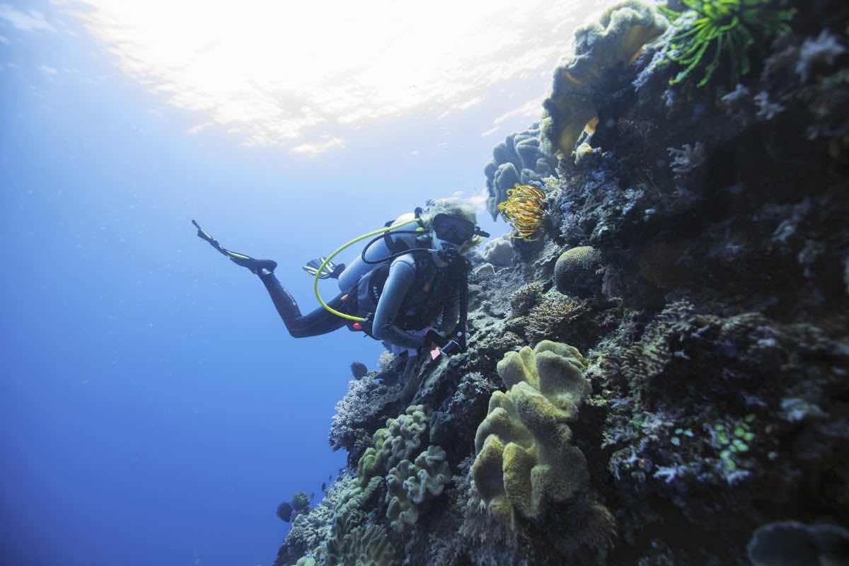 Dive Ningaloo photo 1