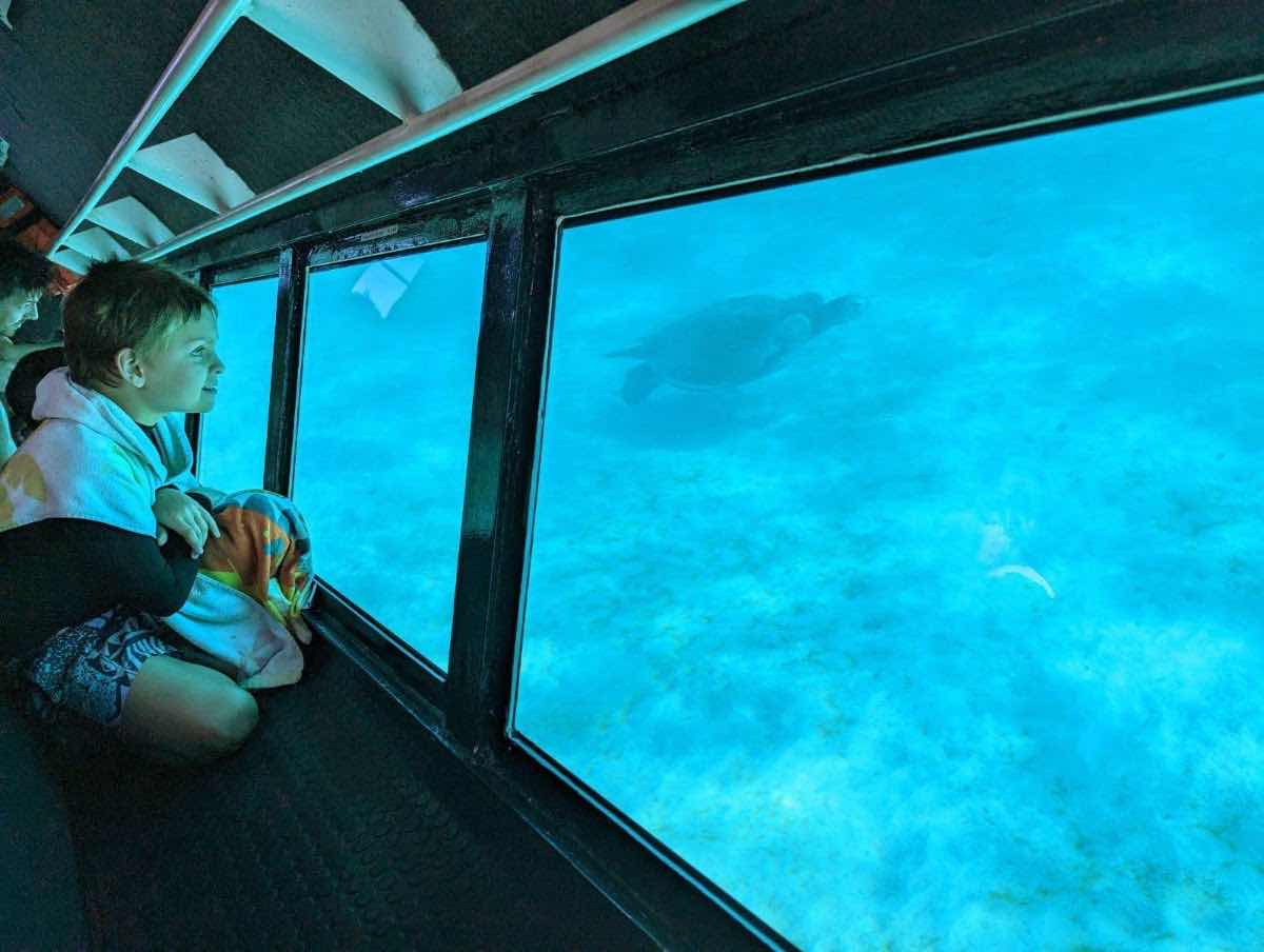 Dive Ningaloo photo 9