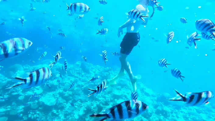 Hydro Sports Fiji (Denarau Island) photo 3