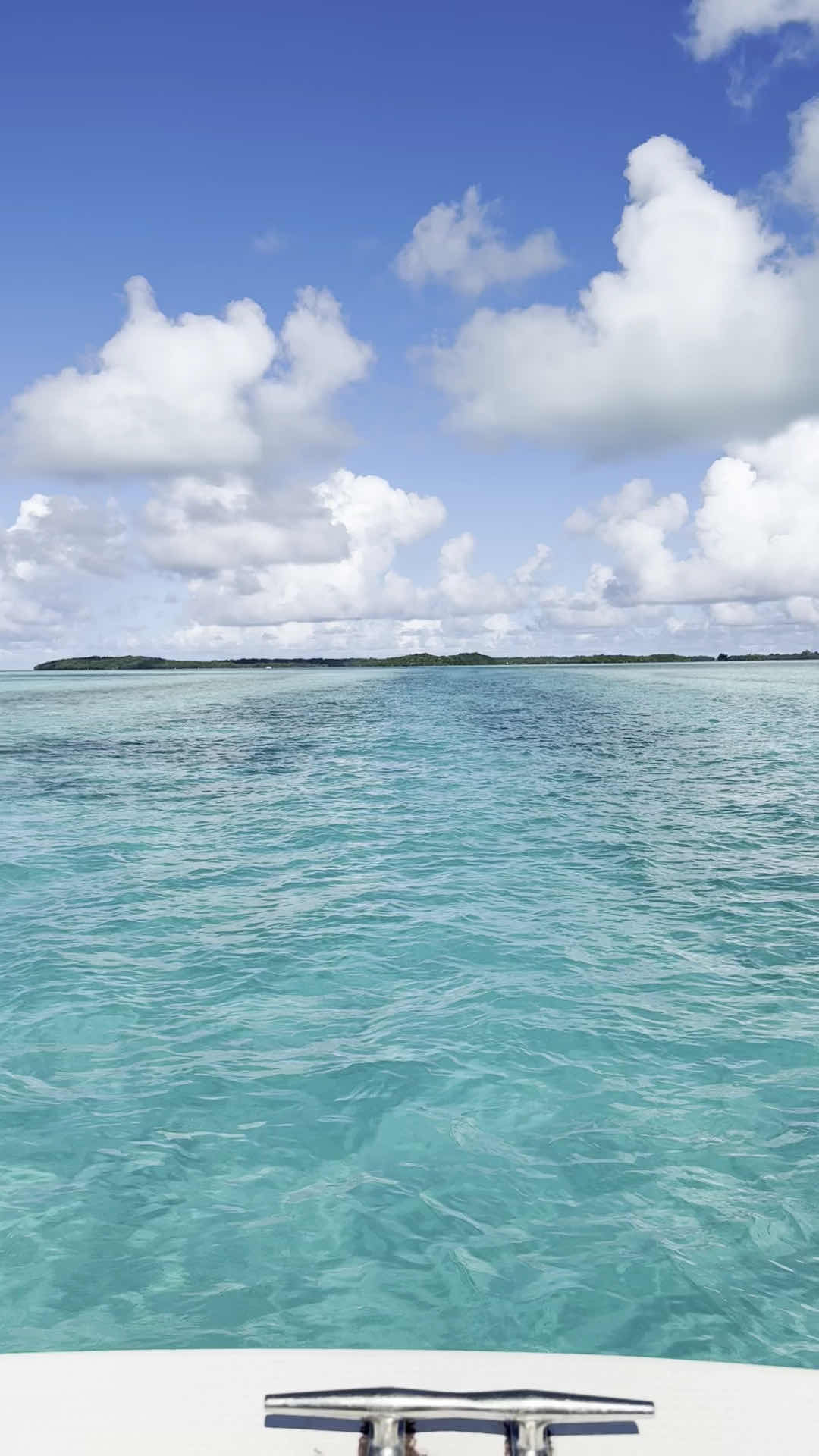 PALAU INFINITY DIVE photo 3