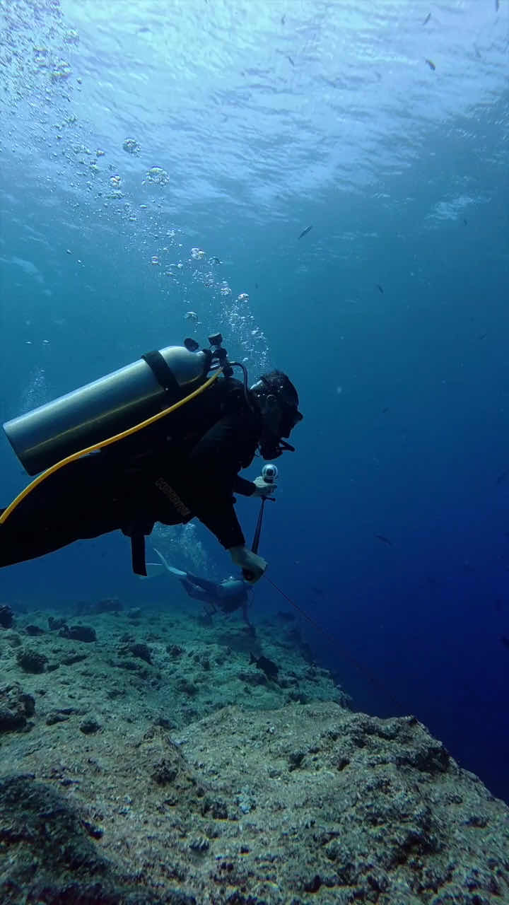PALAU INFINITY DIVE photo 4