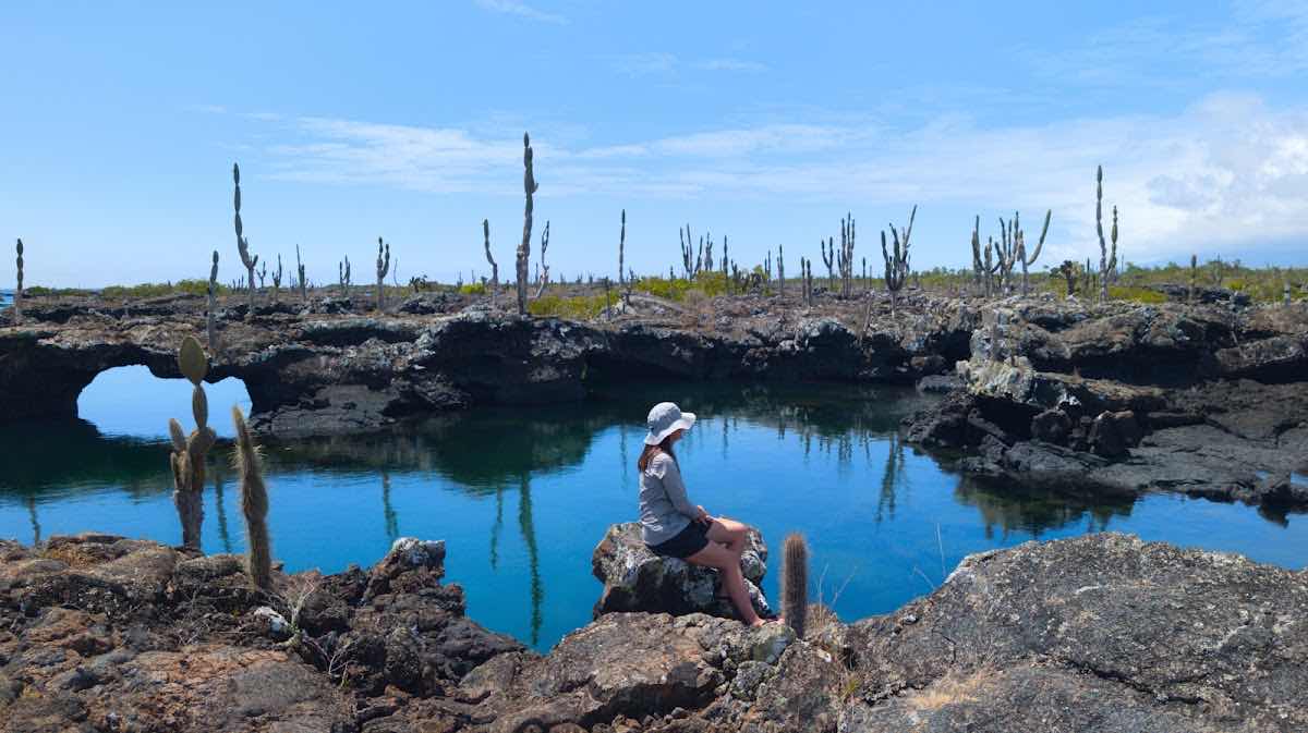 Galapagos Below | Ocean School photo 1