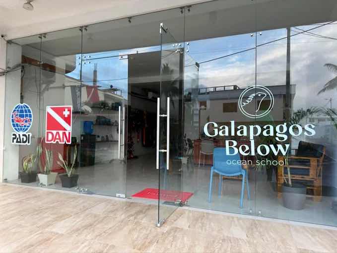 Galapagos Below | Ocean School photo 4