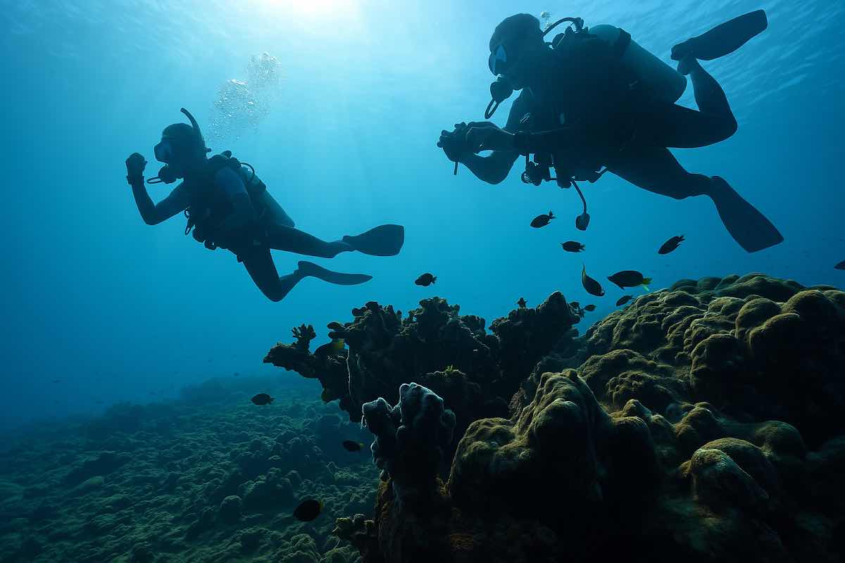 All In Aquatic Adventures photo 4