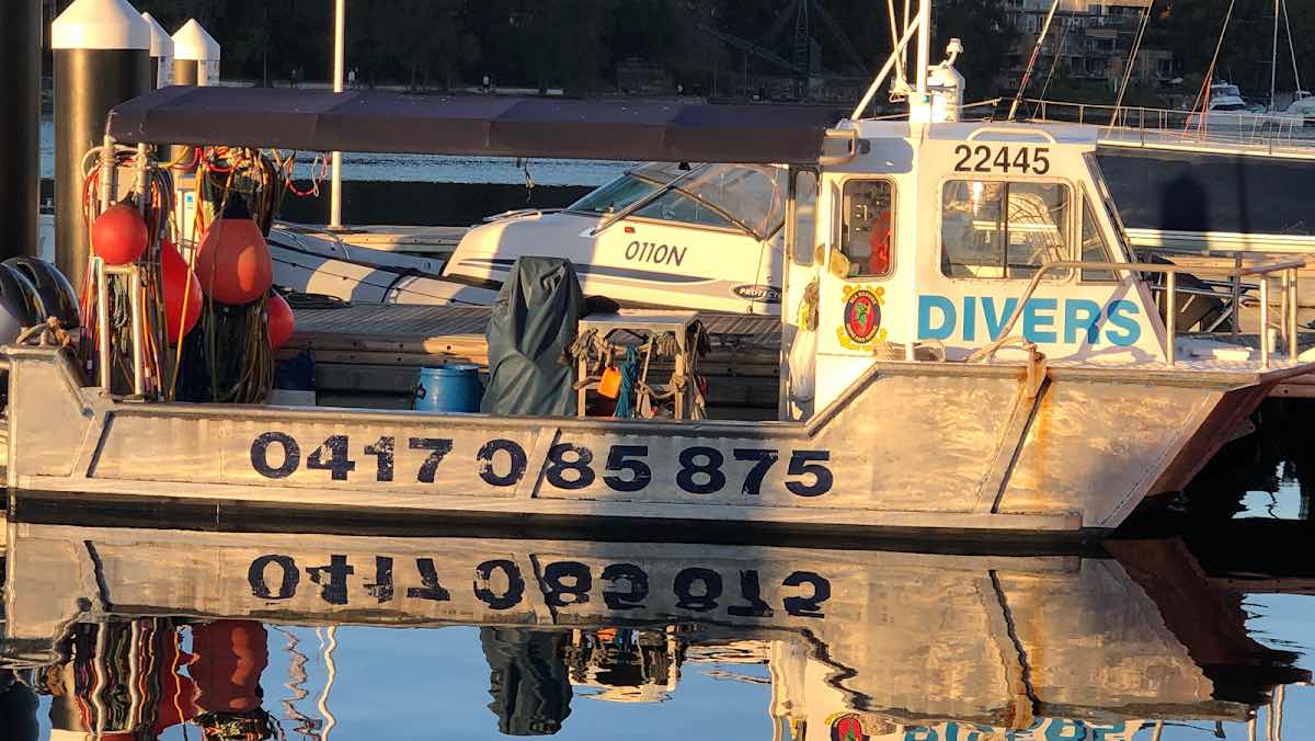 Sea Service Diving and Marine photo 2