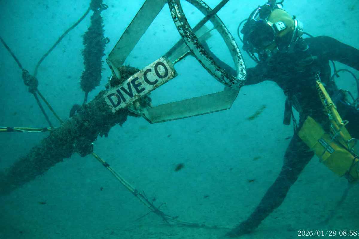Sea Service Diving and Marine photo 7