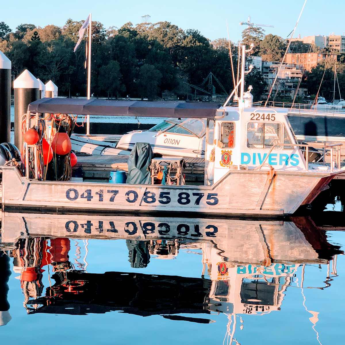 Sea Service Diving and Marine photo 9
