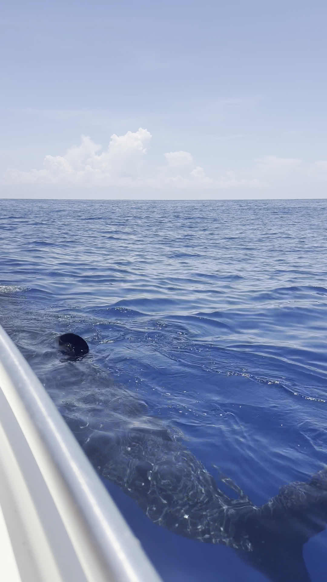 Underwater Mexico photo 2