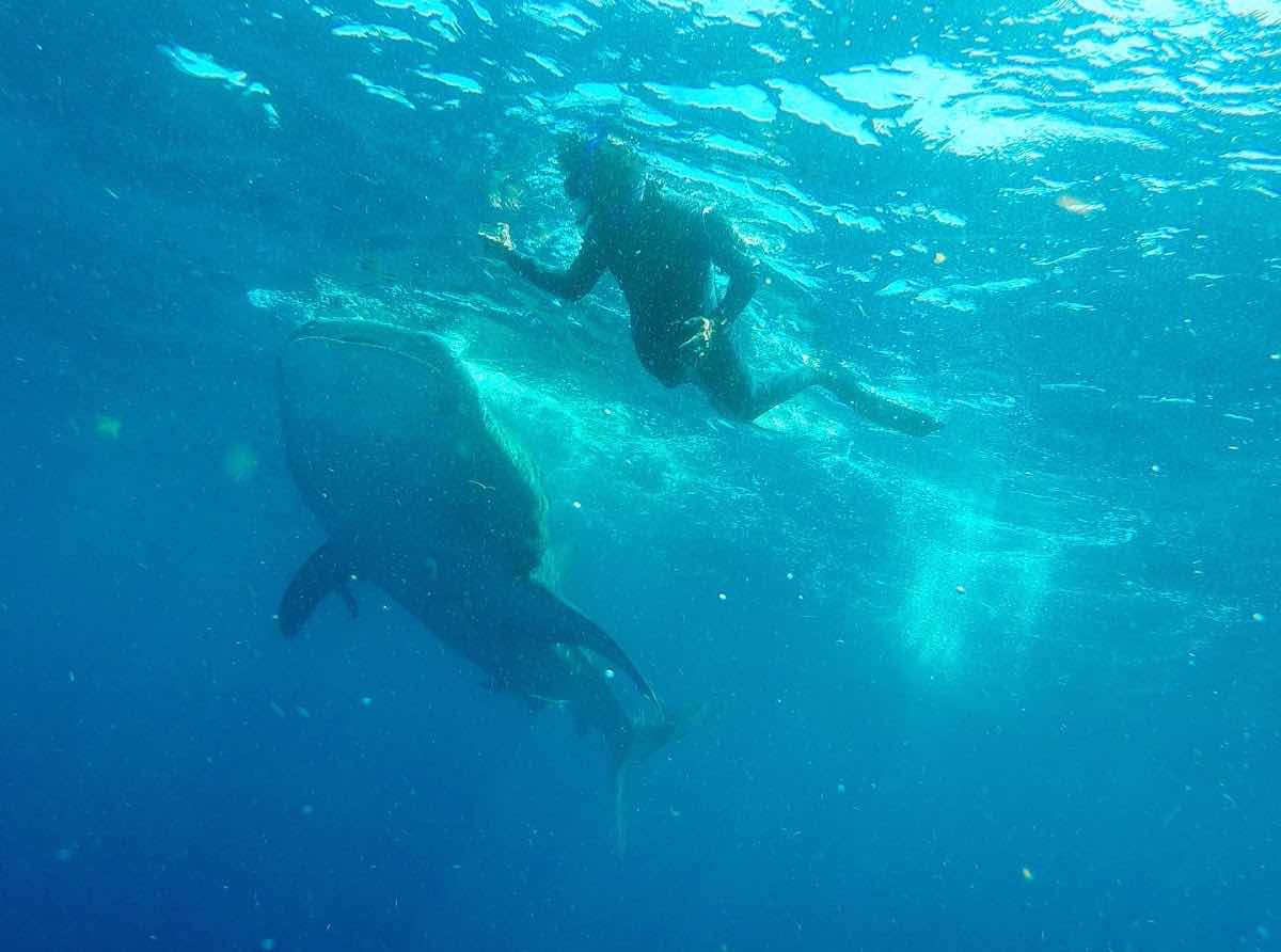 Underwater Mexico photo 4