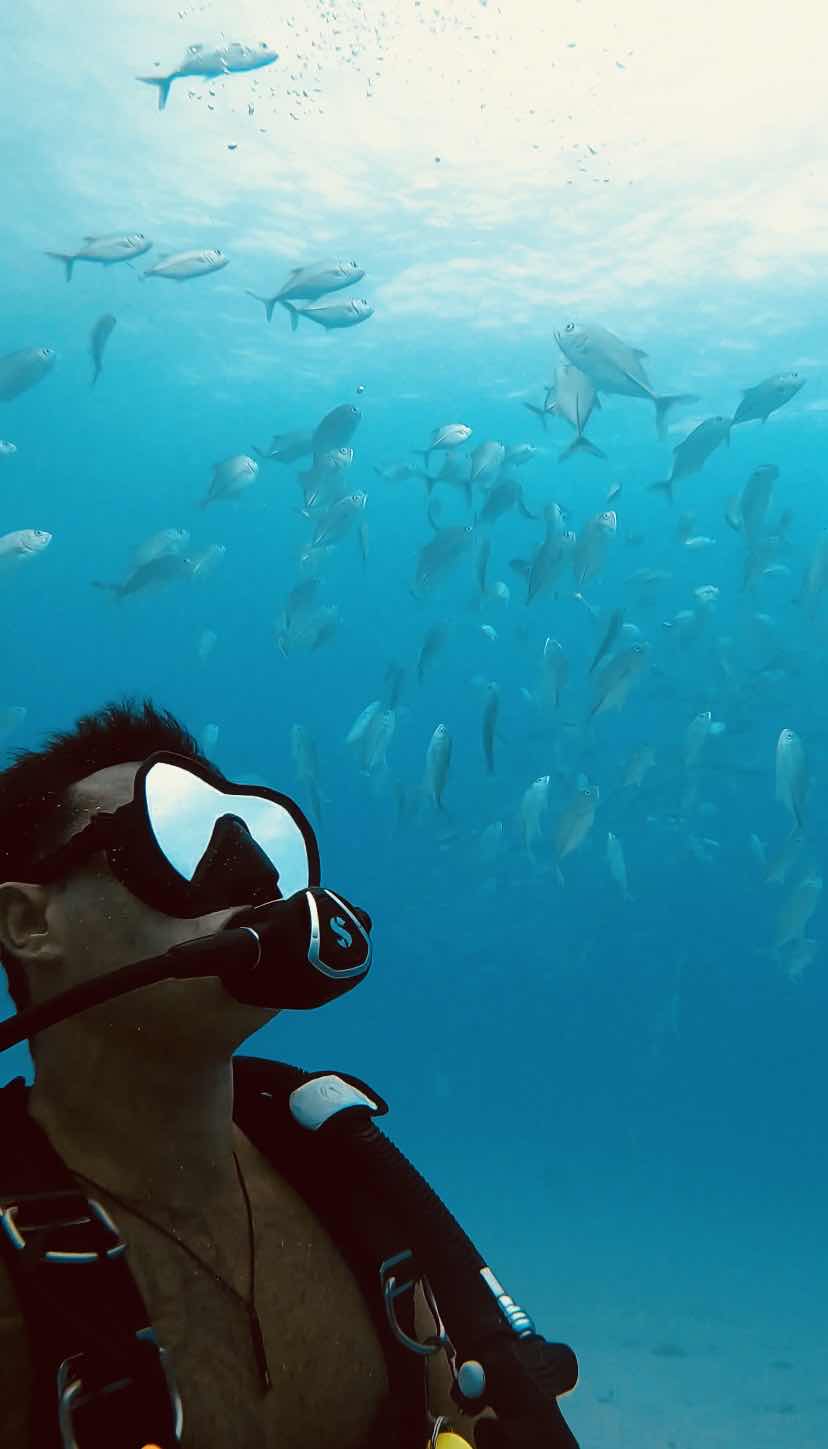 The native expedition - MOOREA photo 2