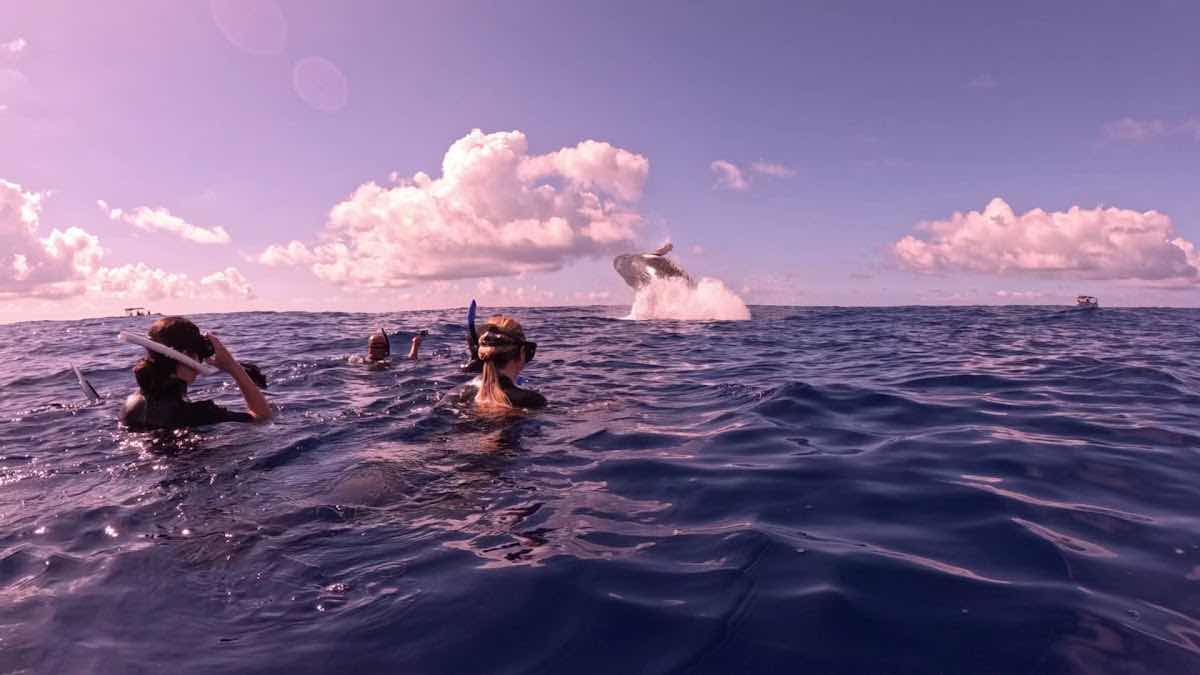 The native expedition - MOOREA photo 3
