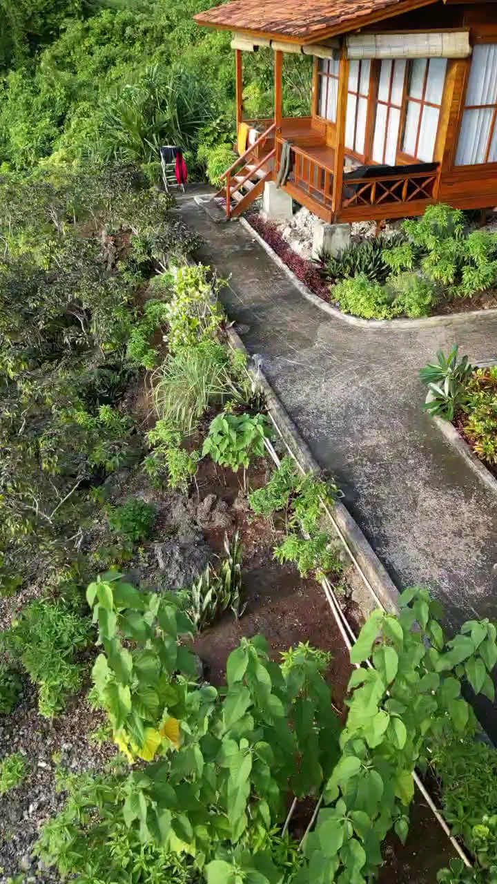 Marind Dive Eco Resort photo 3