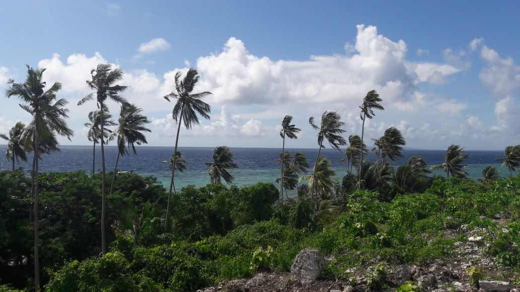 Marind Dive Eco Resort photo 7