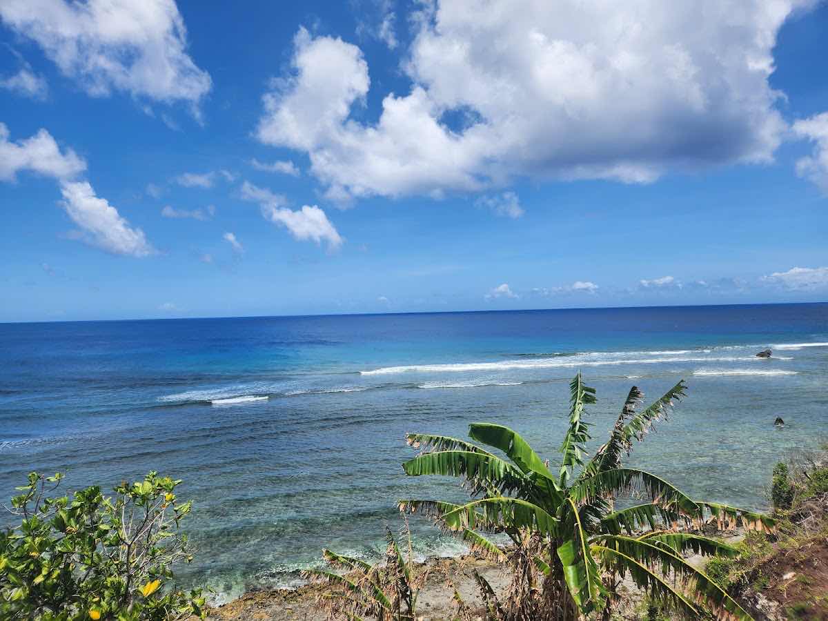 Rick's Reef photo 1
