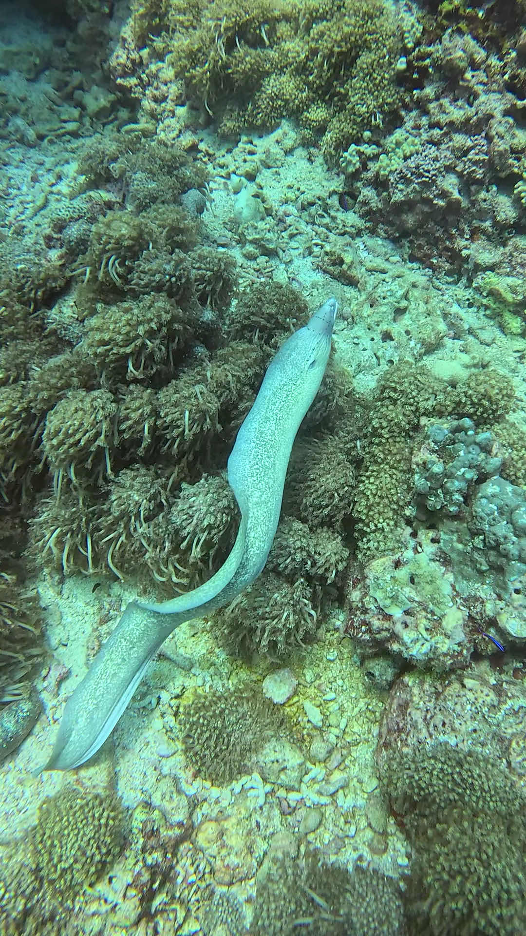 Amphibians Diving Center photo 2