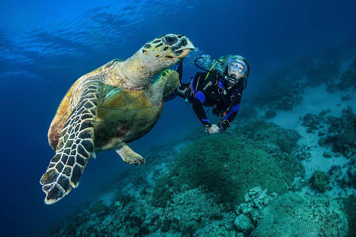 Amphibians Diving Center photo 10