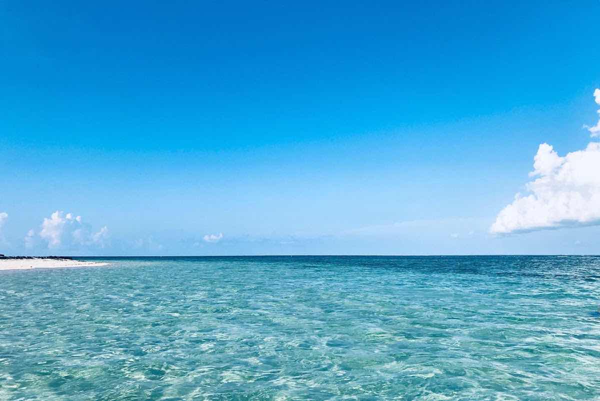 Little Cayman Divers photo 9