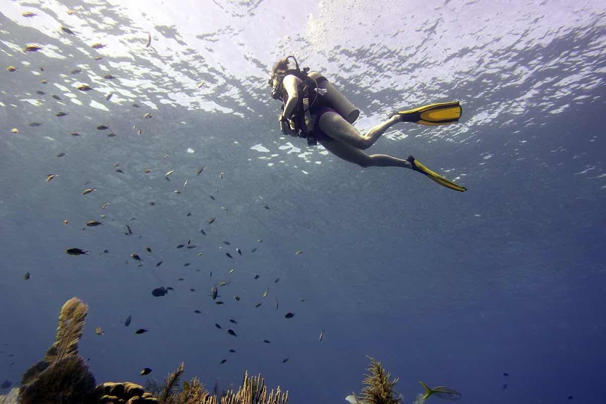 Little Cayman Divers photo 10