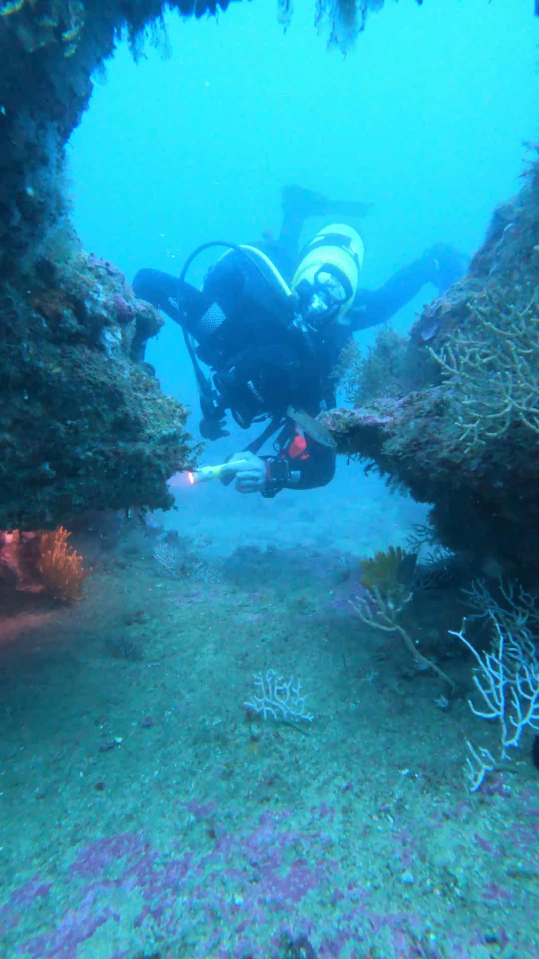 Dive Spot - Centro de Mergulho photo 3
