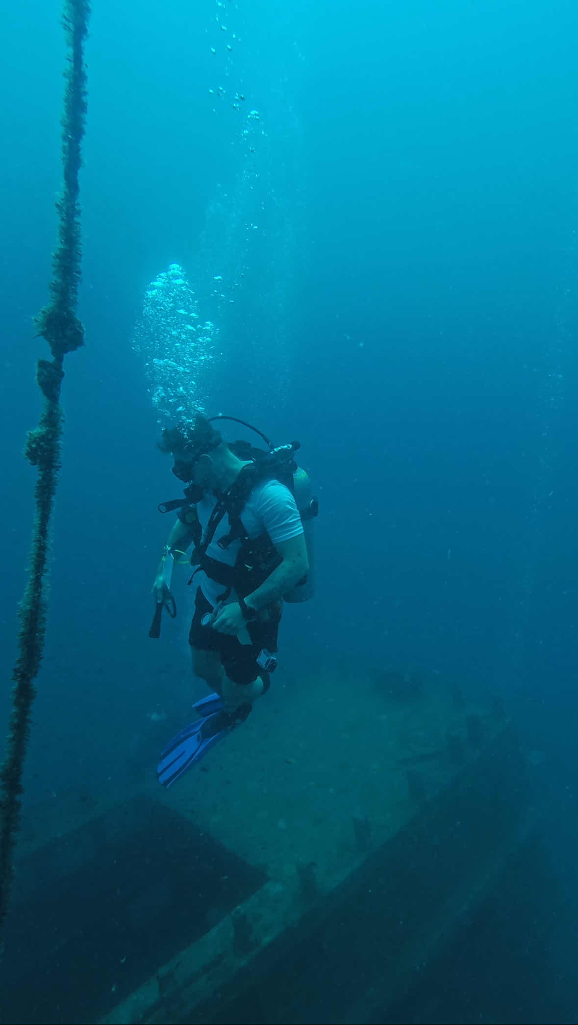 MY SCUBA photo 4