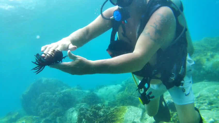 Mark Scott's Diving Vietnam photo 3