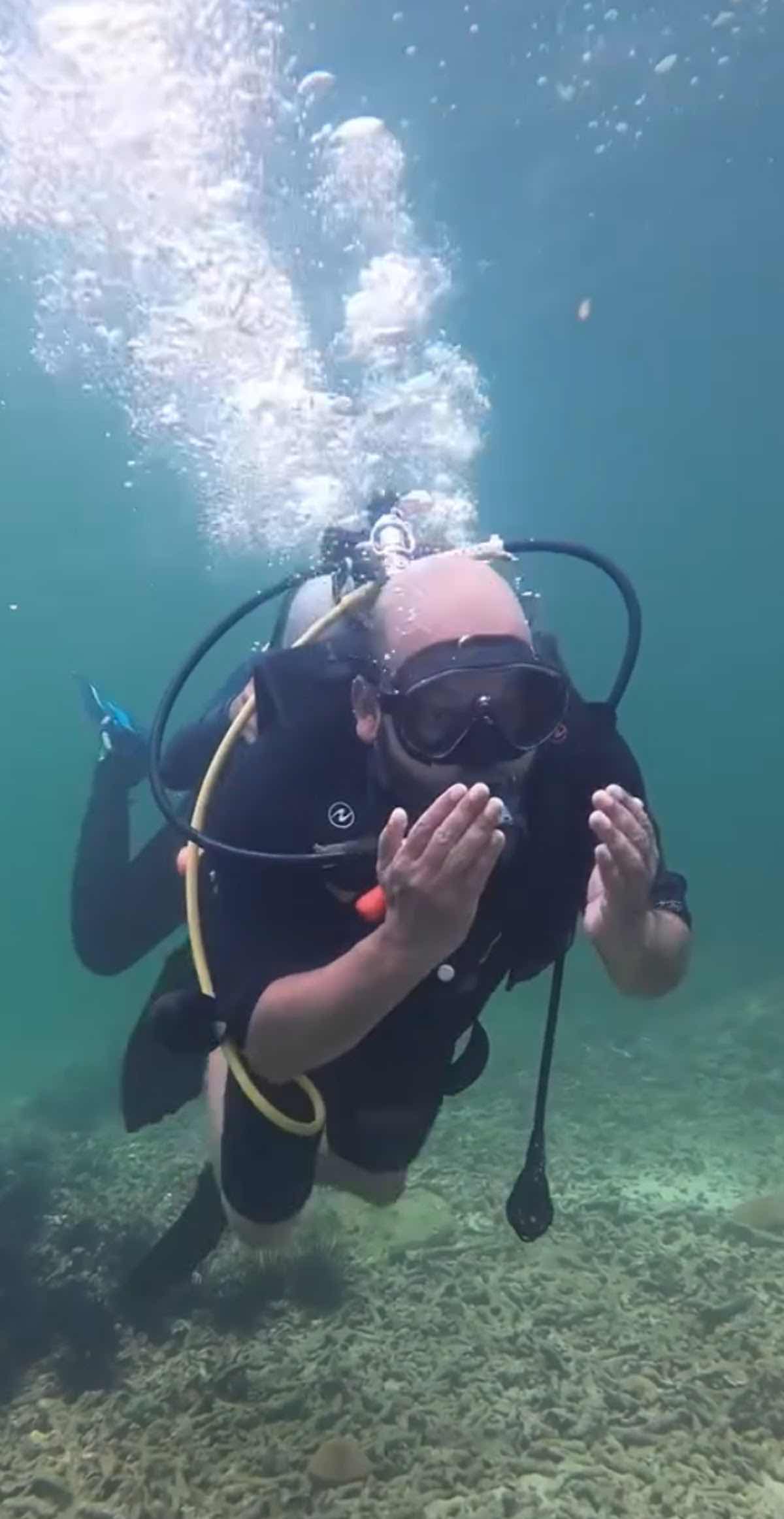 Local Diving photo 8