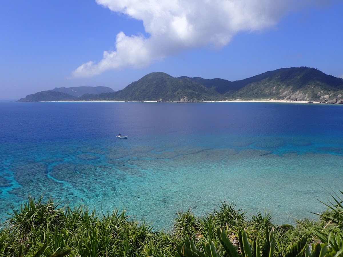 Dive-Inn-Hama photo 1