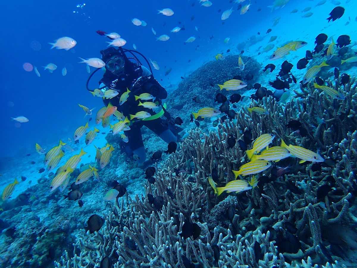 Dive-Inn-Hama photo 9