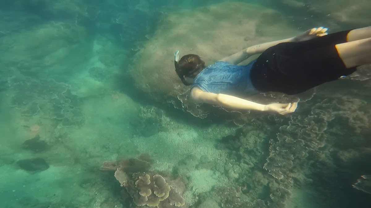 Kimie's Tours - Snorkeling, diving, & hiking photo 3