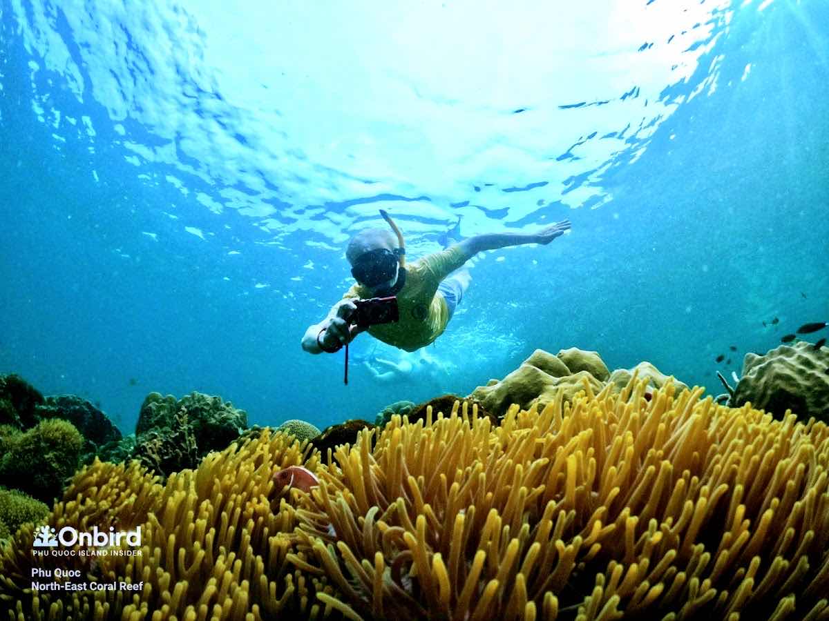 Kimie's Tours - Snorkeling, diving, & hiking photo 8