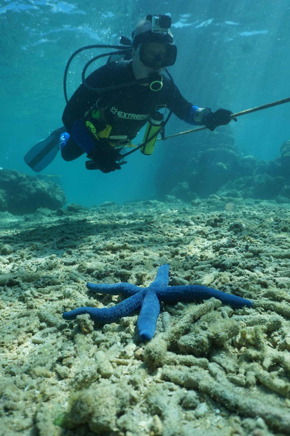 Allan Power Dive Tours photo 4