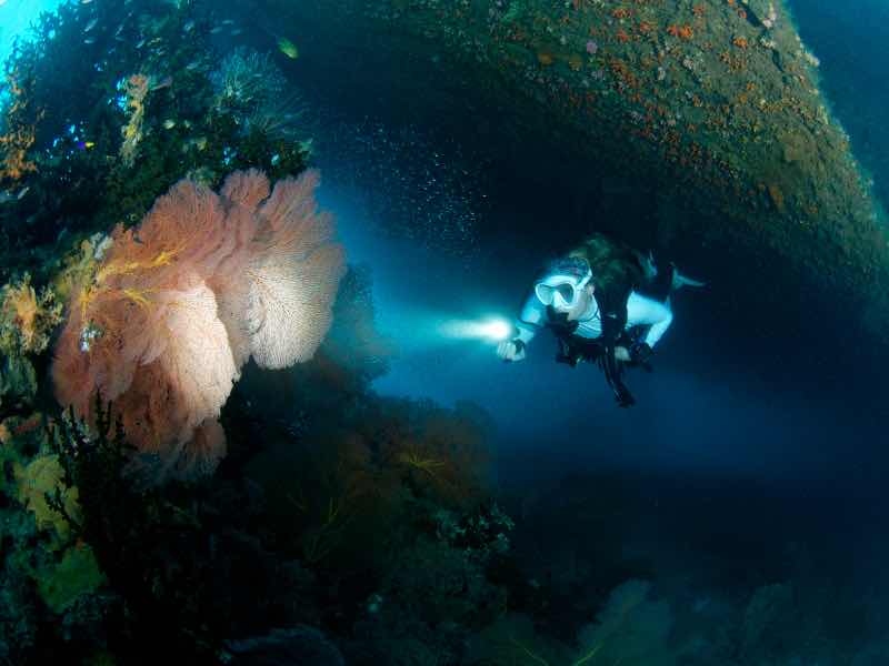 Allan Power Dive Tours photo 5