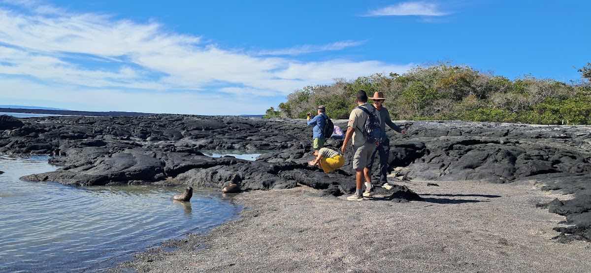 GALAPAGOS TRAILS Travel Agency photo 1