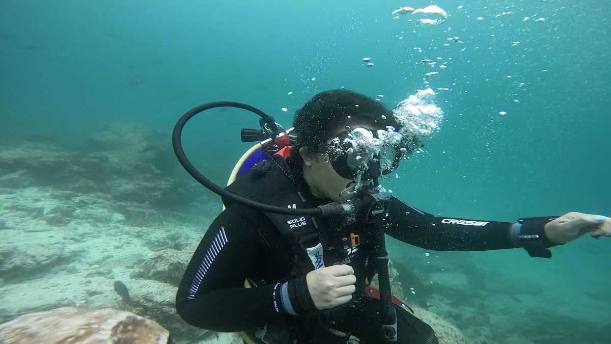 GALAPAGOS TRAILS Travel Agency photo 3
