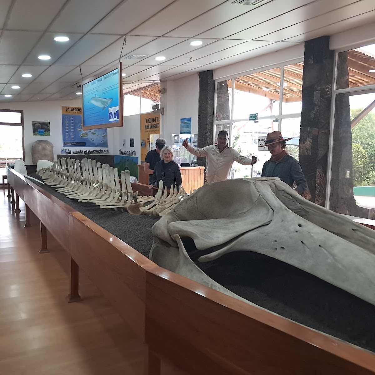GALAPAGOS TRAILS Travel Agency photo 4