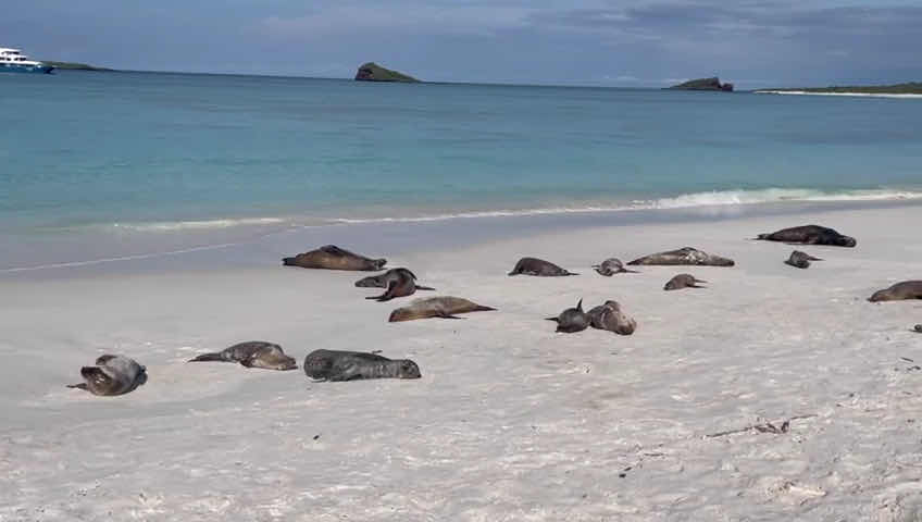 GALAPAGOS TRAILS Travel Agency photo 5
